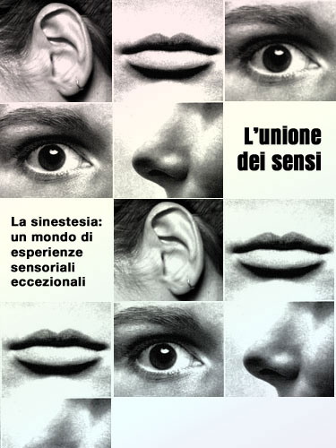 L'unione dei Sensi